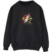 Sweat-shirt Dc Comics BI41161