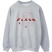 Sweat-shirt Dc Comics BI41196