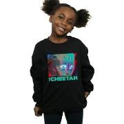 Sweat-shirt enfant Dc Comics 84