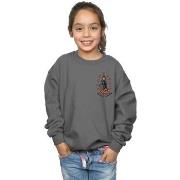 Sweat-shirt enfant Marvel BI30049