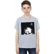 T-shirt enfant Disney Look