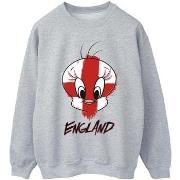 Sweat-shirt Dessins Animés BI49144