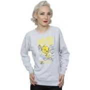 Sweat-shirt Dessins Animés Tweety Pie More Puddy Tats