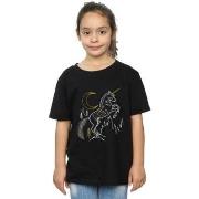 T-shirt enfant Harry Potter BI21203