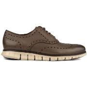 Derbies Cole Haan Zerogrand Wing Oxford Chaussures À Lacets