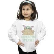 Sweat-shirt enfant Disney The Mandalorian Unknown Species