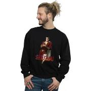 Sweat-shirt Dc Comics BI44499