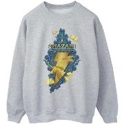 Sweat-shirt Dc Comics Shazam Fury Of The Gods Golden Animal Bolt