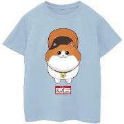 T-shirt enfant Disney Big Hero 6