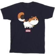 T-shirt enfant Disney Big Hero 6