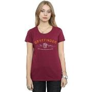T-shirt Harry Potter Gryffindor Team Quidditch