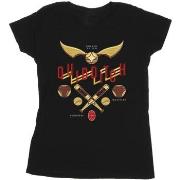 T-shirt Harry Potter BI24262