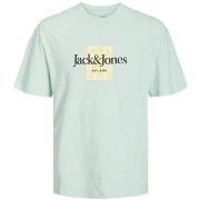 T-shirt Jack &amp; Jones 12250436 JORLAFAYETTE