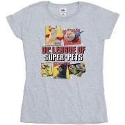 T-shirt Dc Comics DC League Of Super-Pets