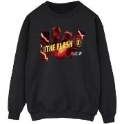 Sweat-shirt Dc Comics BI47258