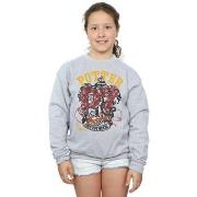 Sweat-shirt enfant Harry Potter Gryffindor Seeker