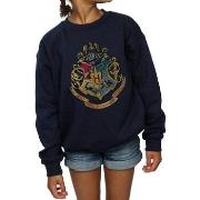 Sweat-shirt enfant Harry Potter BI1056