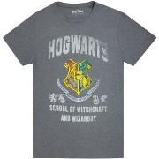 T-shirt Harry Potter NS5732