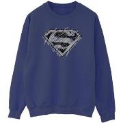 Sweat-shirt Dc Comics BI49366