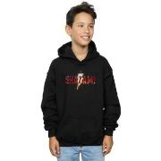 Sweat-shirt enfant Dc Comics BI49518