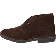 Baskets montantes Clarks DESERT BT EVO