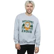 Sweat-shirt Disney Endor Camp