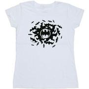 T-shirt Dc Comics BI10434