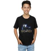 T-shirt enfant Harry Potter BI20687