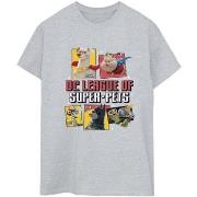 T-shirt Dc Comics BI21519