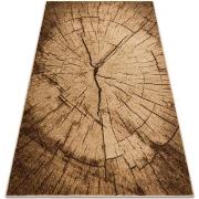 Tapis Rugsx Tapis SILVER TRONKO Arbre Bois noix 300x400 cm