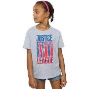 T-shirt enfant Dc Comics Justice League Movie Team Flag