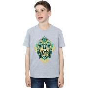 T-shirt enfant Dc Comics BI6999