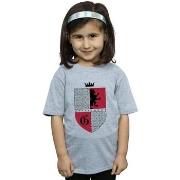 T-shirt enfant Harry Potter BI21229