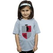 T-shirt enfant Harry Potter Gryffindor Shield