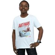 T-shirt enfant Marvel Bathing Ant