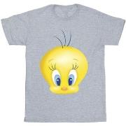 T-shirt enfant Dessins Animés BI25244