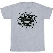 T-shirt enfant Dc Comics BI8942