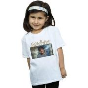 T-shirt enfant Harry Potter BI21472