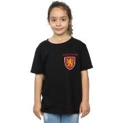 T-shirt enfant Harry Potter Gryffindor