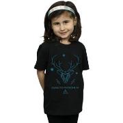 T-shirt enfant Harry Potter BI21548