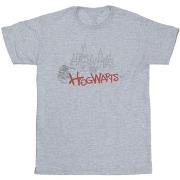 T-shirt enfant Harry Potter Hogwarts