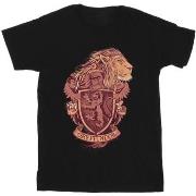 T-shirt enfant Harry Potter Gryffindor