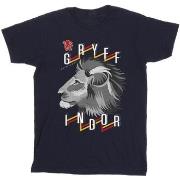 T-shirt enfant Harry Potter Gryffindor Lion Icon