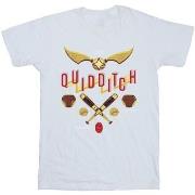 T-shirt enfant Harry Potter Quidditch Golden Snitch