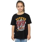 T-shirt enfant Harry Potter Gryffindor Seeker