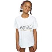 T-shirt enfant Harry Potter BI20769