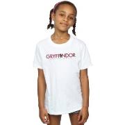 T-shirt enfant Harry Potter Gryffindor