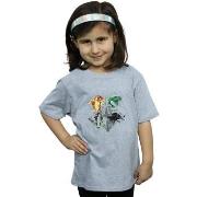 T-shirt enfant Harry Potter Hogwarts