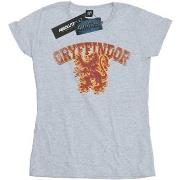 T-shirt Harry Potter Gryffindor Sport Emblem