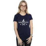 T-shirt Harry Potter Hogwarts First Year